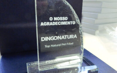 Prémio gravado em vidro